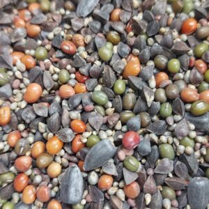 Mix solo vivo Pastagem